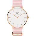 Часы Daniel Wellington Petite Dover DW00100317