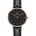 Часы Daniel Wellington Petite Mawes DW00100225