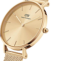 Часы Daniel Wellington Petite Unitone DW00100474 фото 2