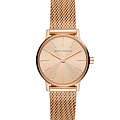 Часы Armani Exchange Lola  AX5566