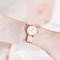 Часы Daniel Wellington Petite Dover DW00100317 фото 2