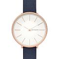Часы Skagen SKW2723