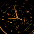 Часы Swiss Military by Chrono SM30052.01  фото 12